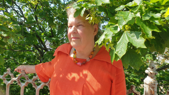 Meeri-Maria Viita puun siimeksessä