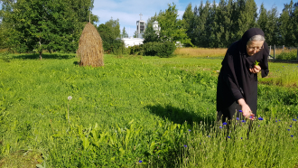 Nunna Nektaria ruiskukkapellolla