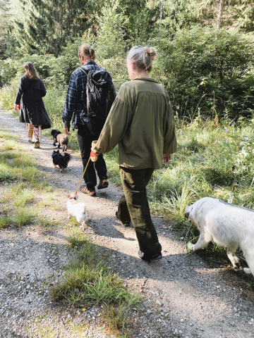 Ihmiset lenkittävät koiria metsäpolulla