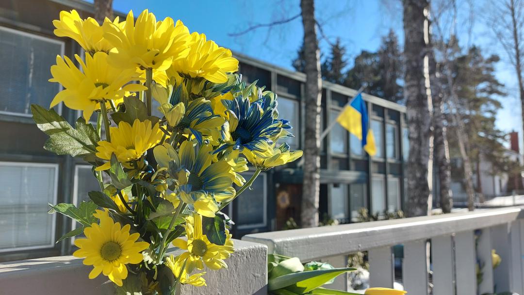 Ukrainan Suomen-suurlähetystön aita kukitettuna sinikeltaisin kukin