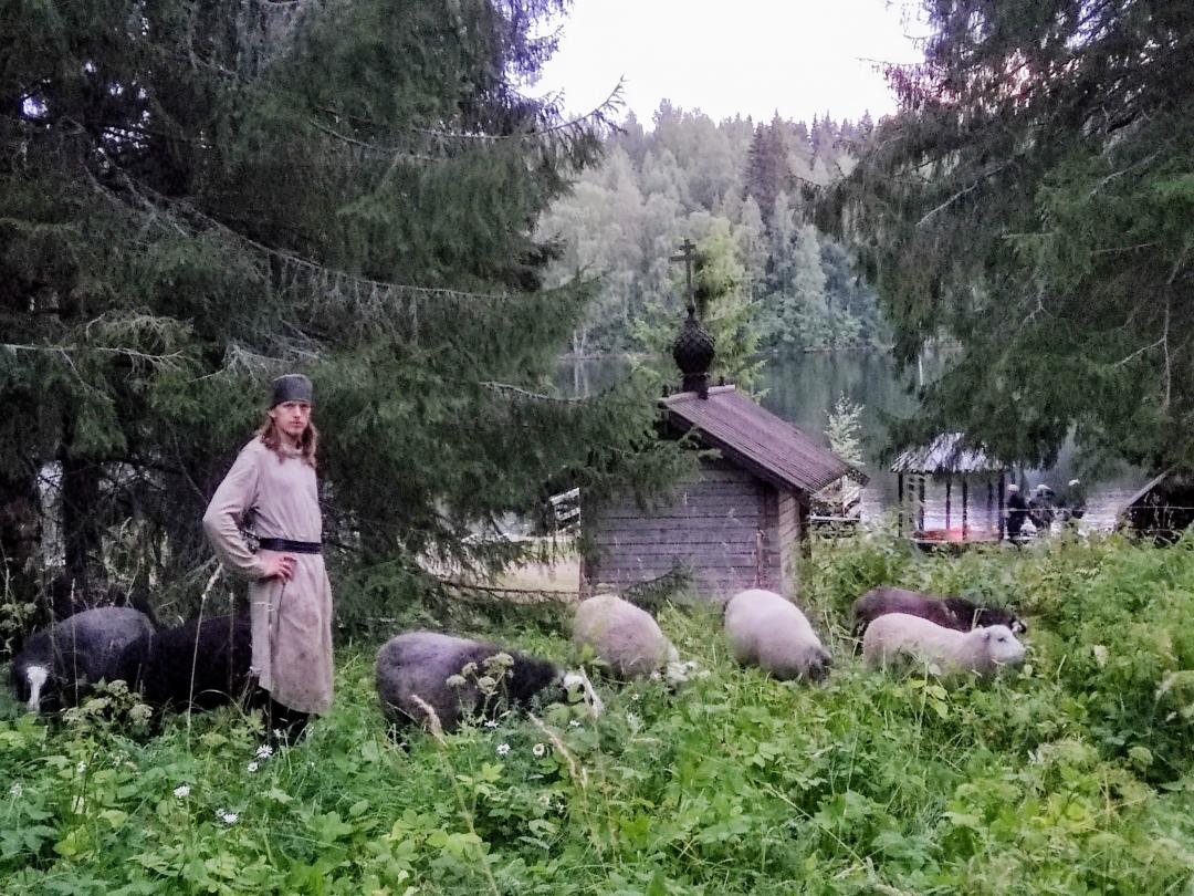 Tuolloinen Valamon luostarin kuuliaisuusveli Mikael seisoo kesäisellä niityllä lampaiden kanssa