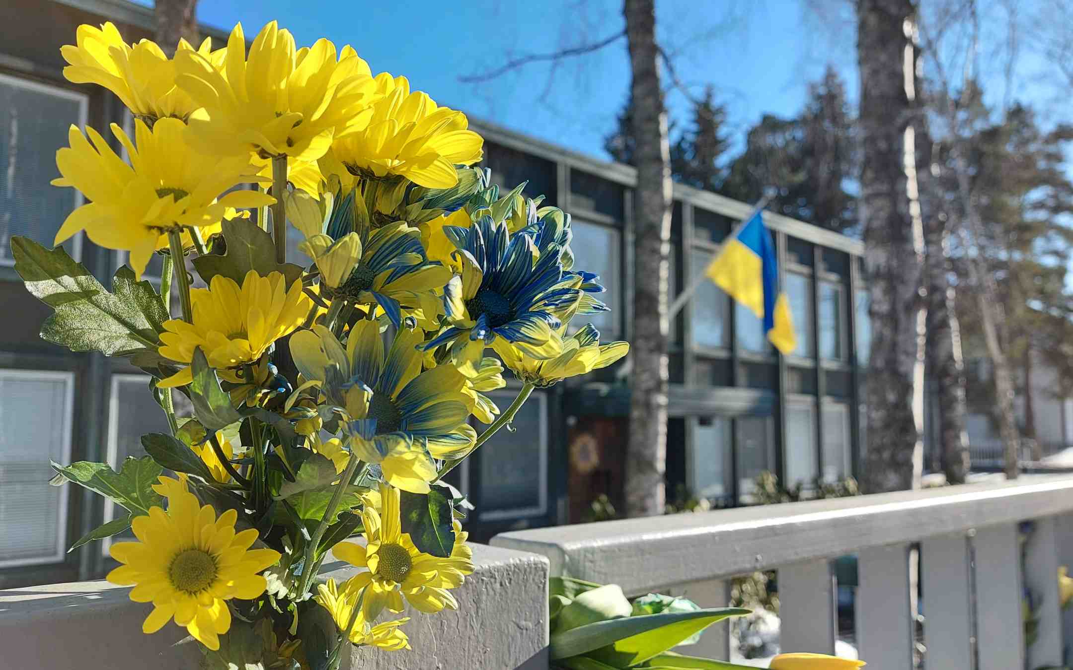 Ukrainan suurlähetystön kukitettu aita