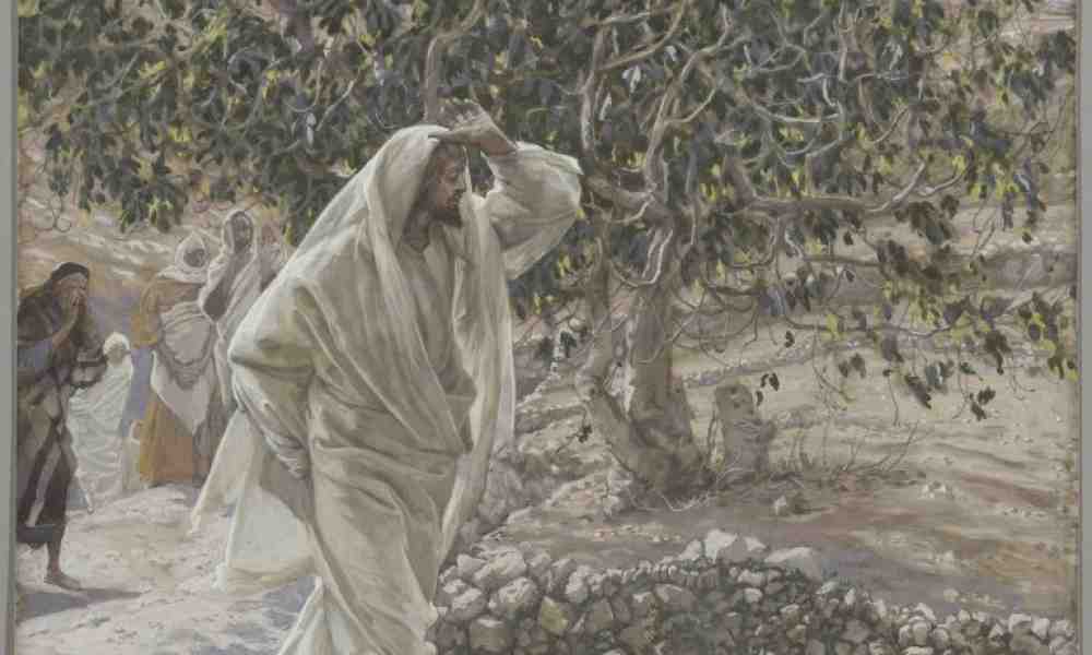 Kristus kiroaa viikunapuun -maalaus