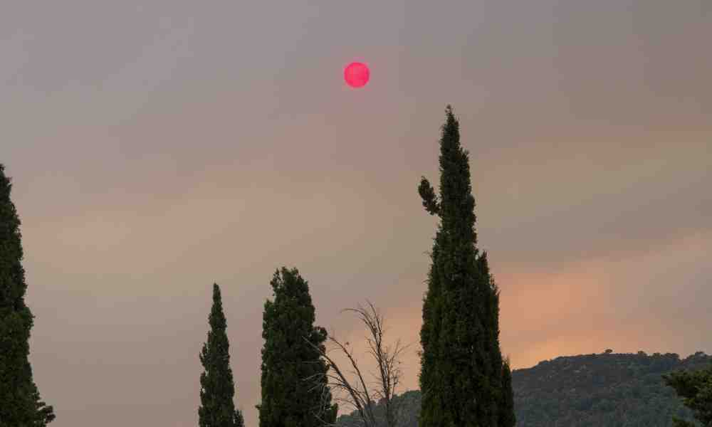 Tulipalo metsä Evia Kreikka