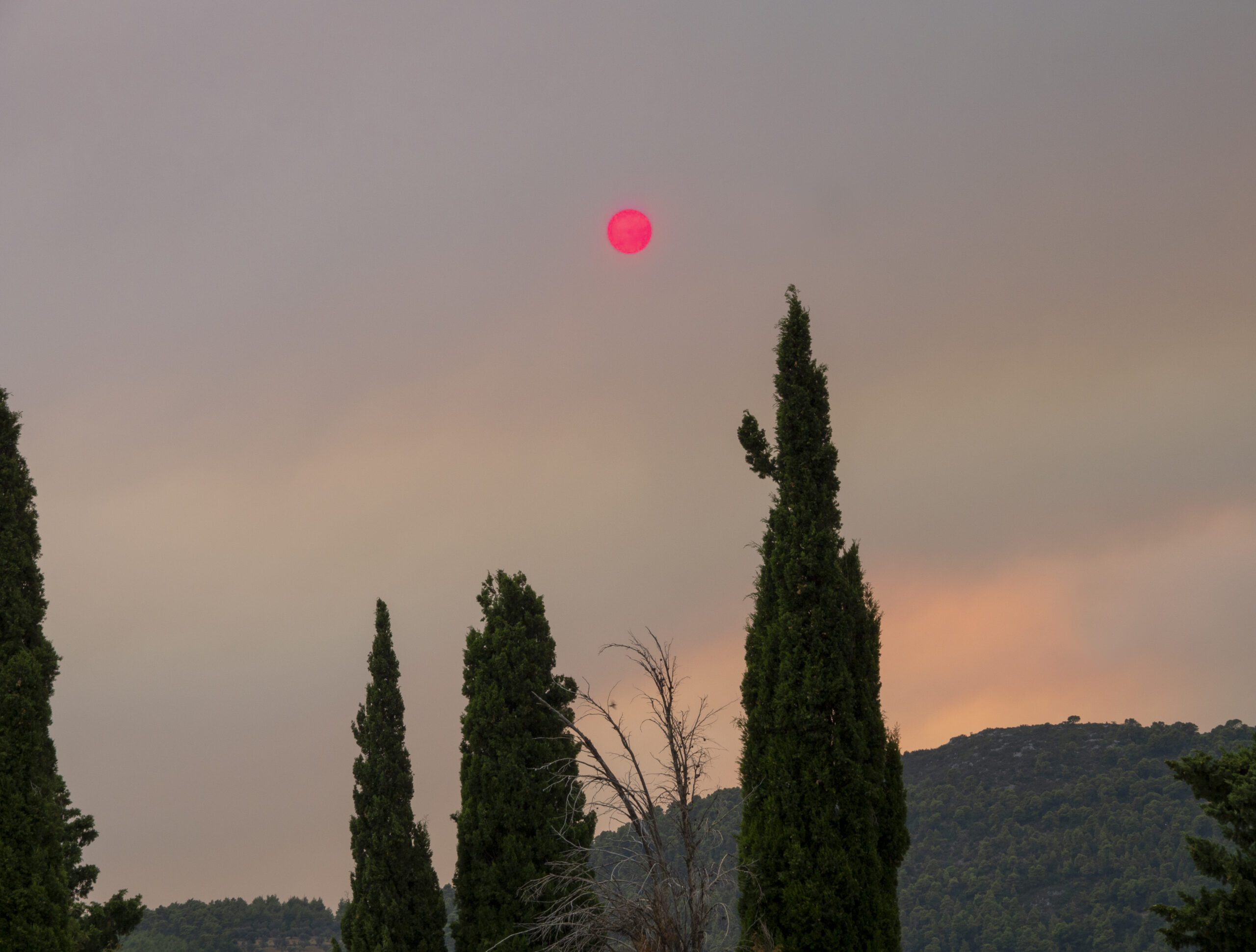 Tulipalo metsä Evia Kreikka