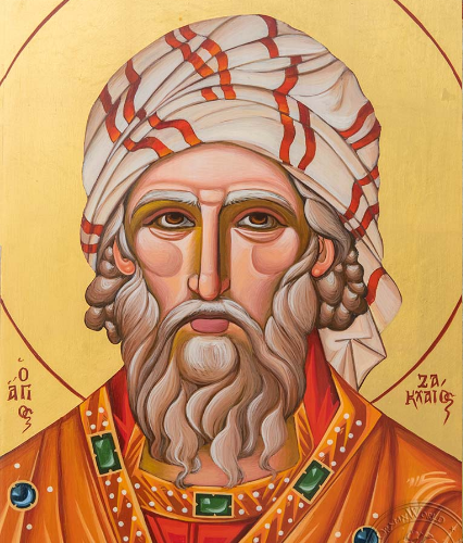 Minisaarna: Sakkeuksen sunnuntai