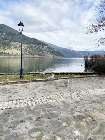 Ioanninan luonnonl&auml;heiset n&auml;kym&auml;t el&auml;hdytt&auml;v&auml;t matkaajaa.