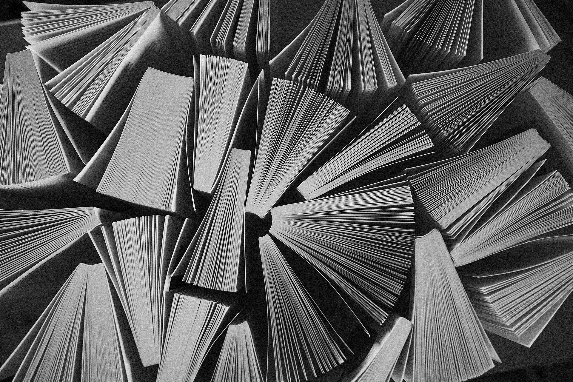 Karjalan kielen seuran johtoa epäillään törkeistä rikoksista