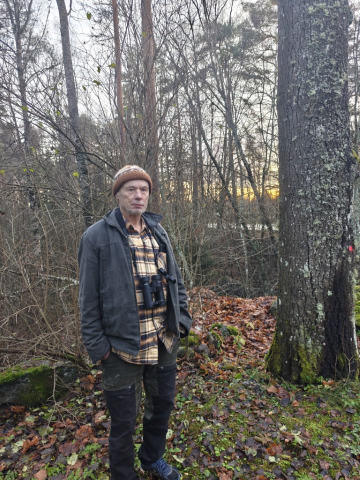 Liito-orava-asiantuntija Ralf Wistbacka paikan päällä Vaasan hautuumaalla