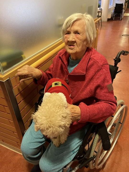 Hoivakoti Helenan joulukoira ilahduttaa vanhuksia