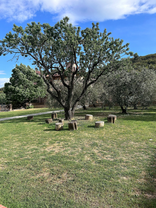 Pyhitt&auml;j&auml; Paisioksen vierailijoille tekem&auml;t kannot, joilla he istuivat h&auml;nen puhuessaan heille