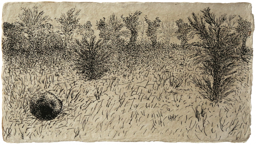 Elina Merenmies: Huutava Kivi