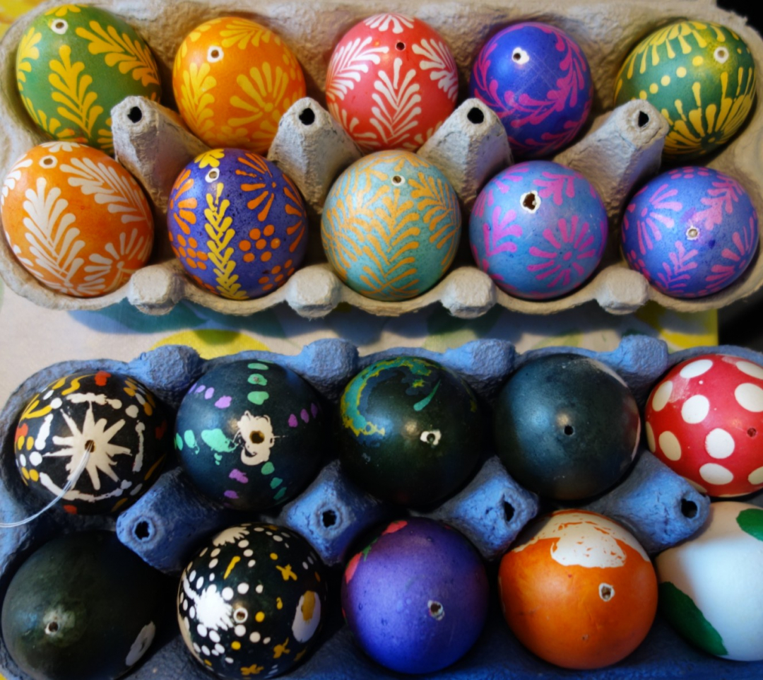 Pisanka-munia kennossa