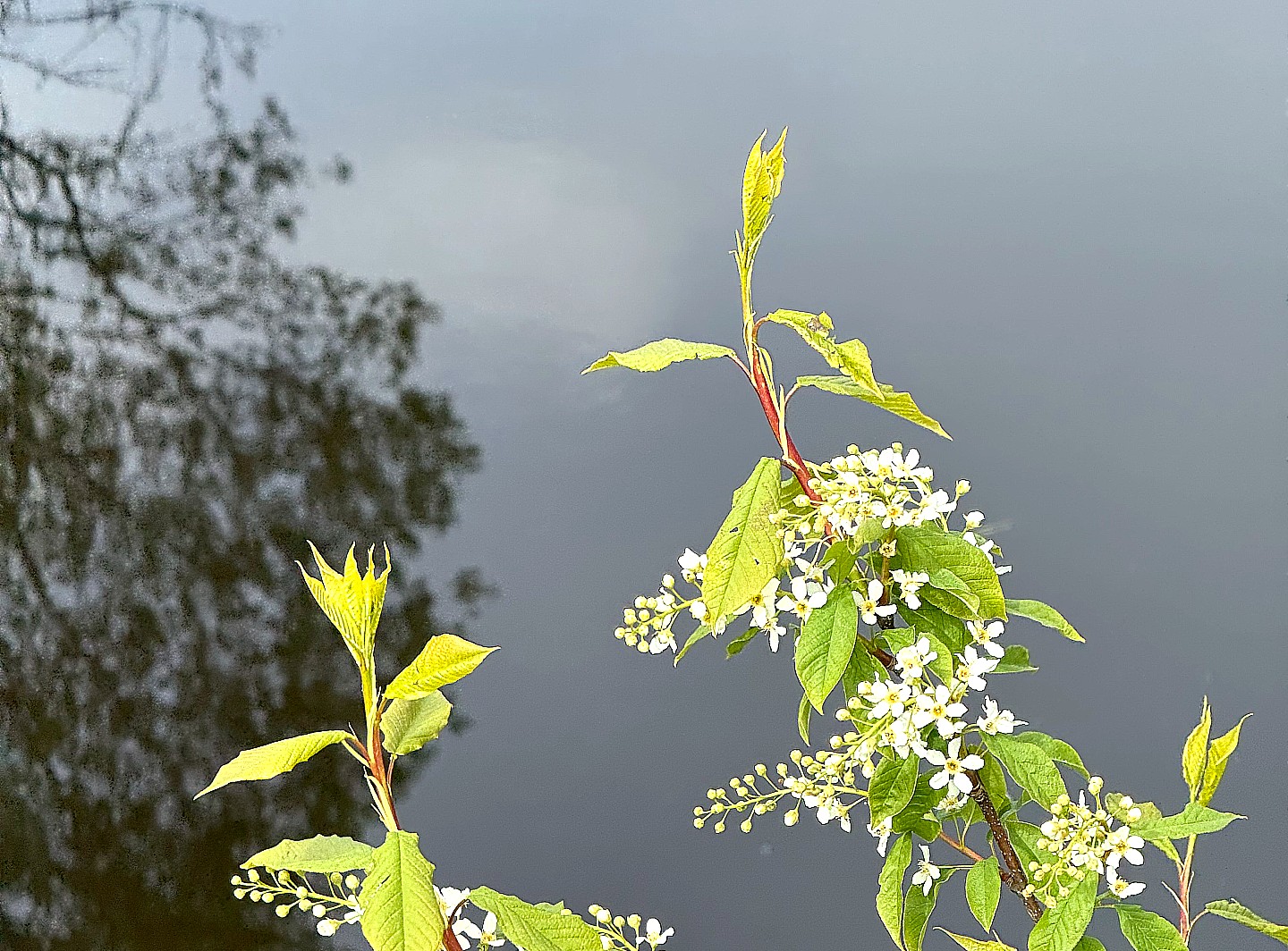 Suomen Ekumeenisen Neuvoston hallitus vetoaa Gazan tilanteen vuoksi