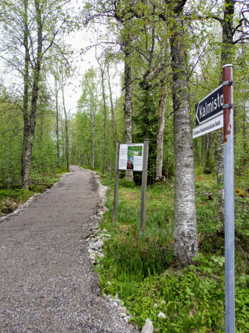 Viitta pyhän Johannes Sonkajanrantalaisen haudalle